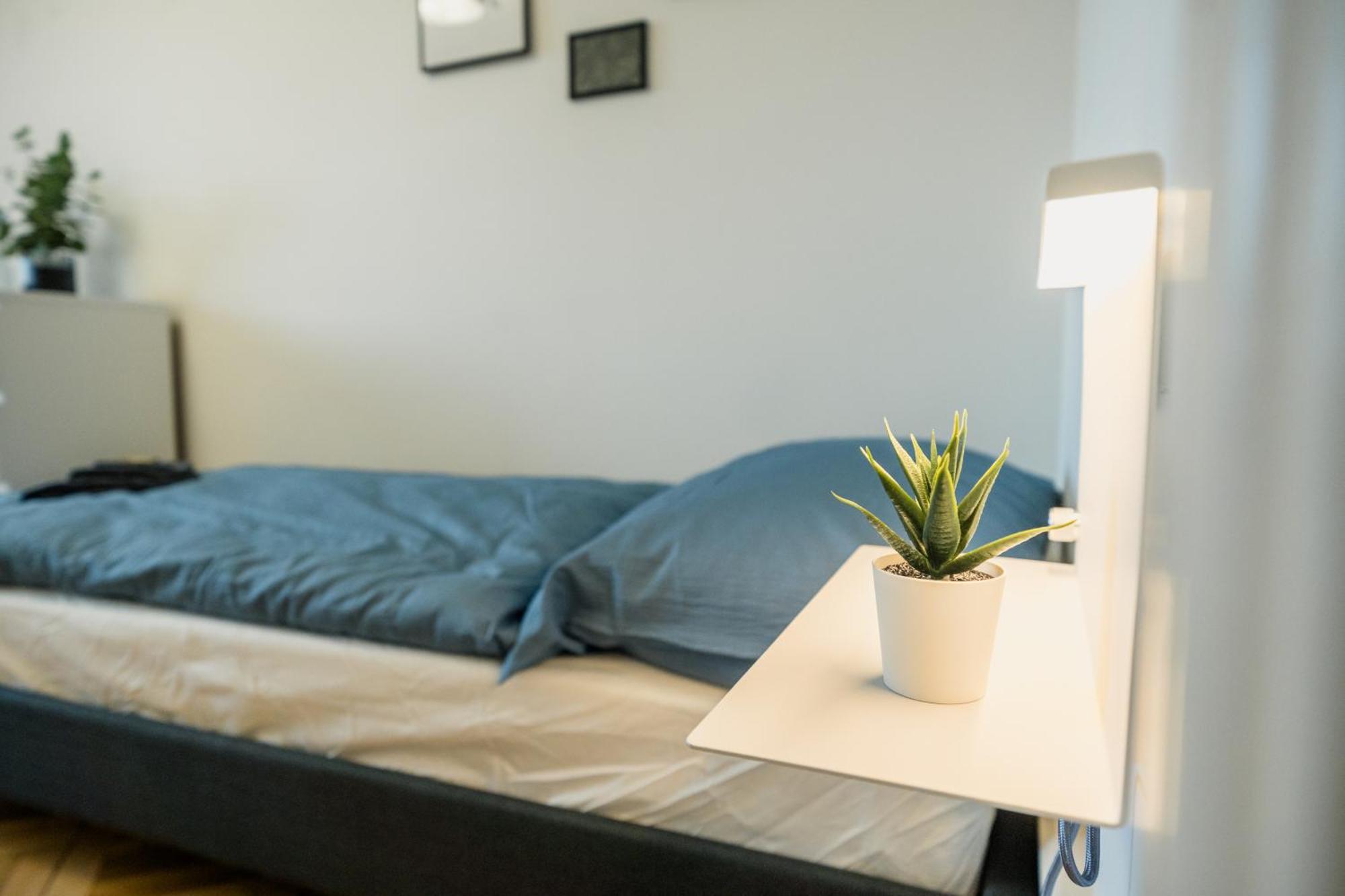 With Rooftop Terrace Apartment